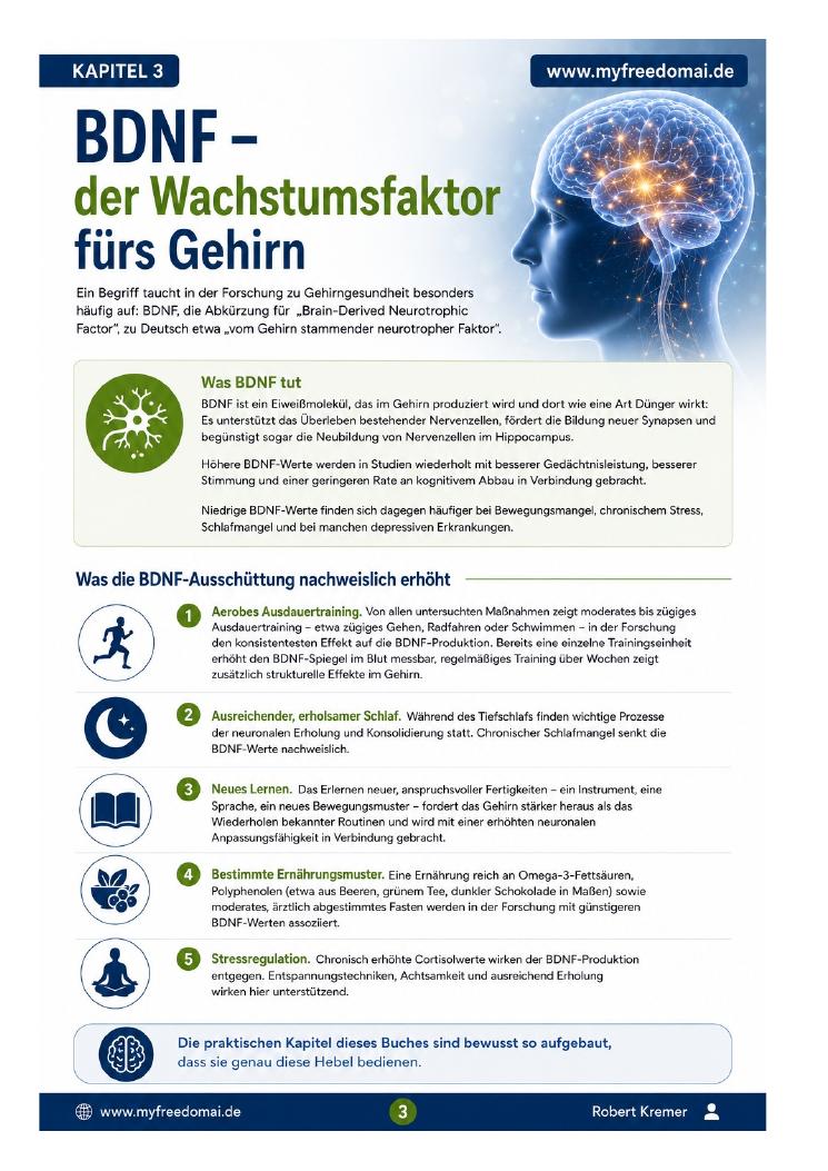 Vorschau Seite 4 – Gehirngesundheit & Demenzprävention