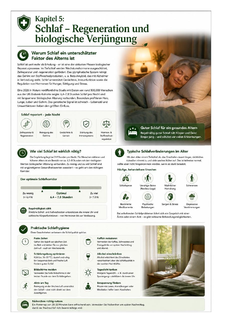 Vorschau Seite 6 – Gesund älter werden