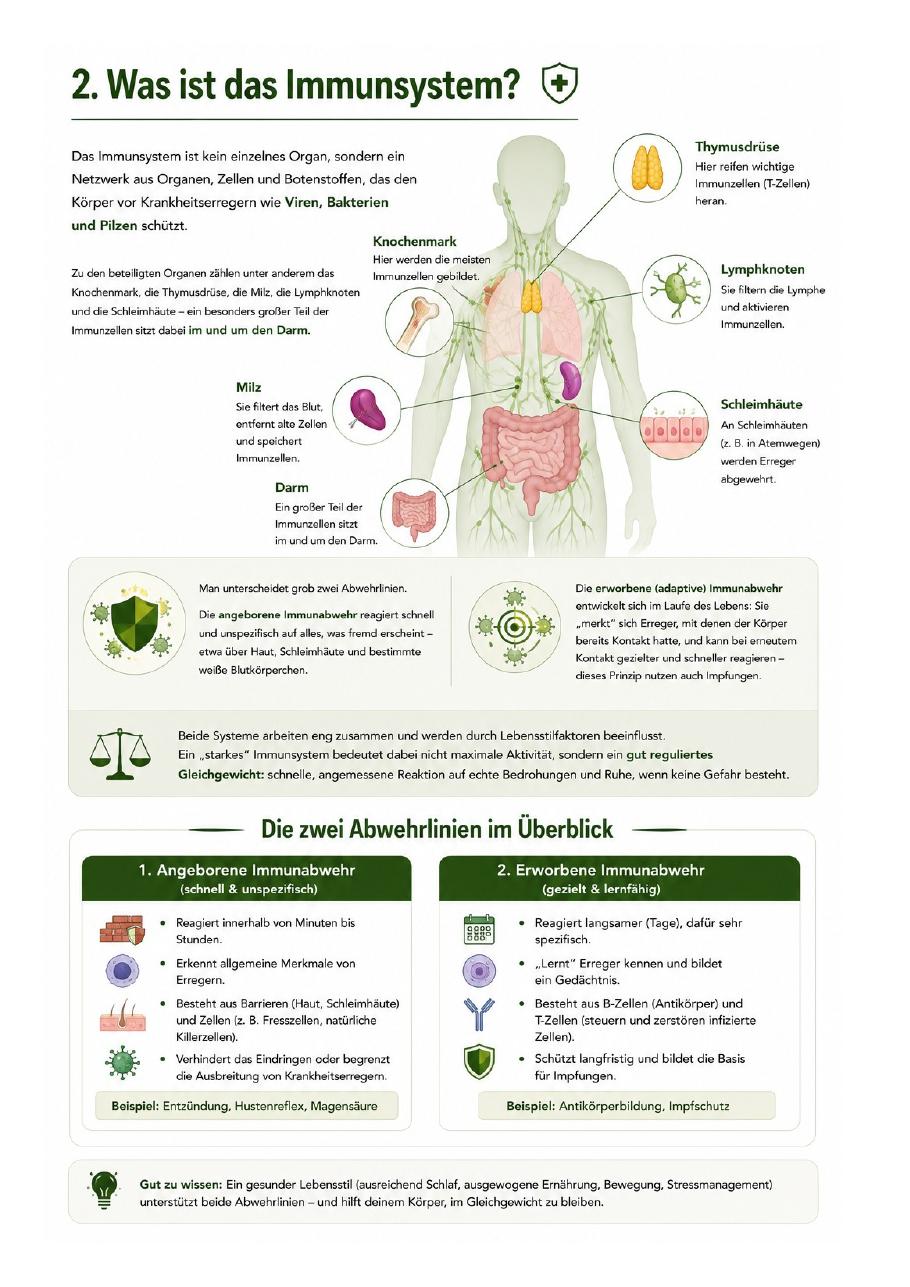 Vorschau Seite 2 – Immunsystem stärken