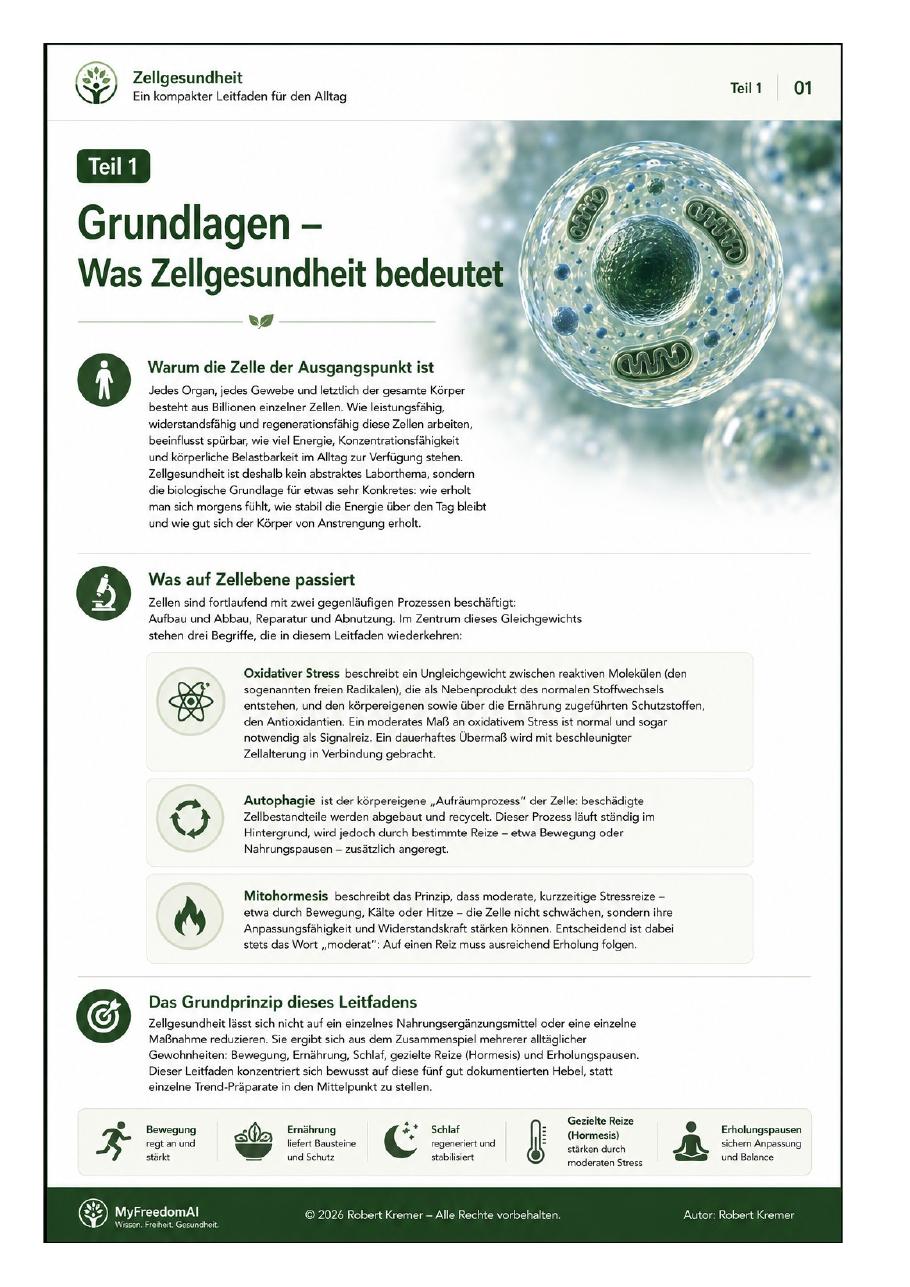 Vorschau Seite 2 – Zellgesundheit